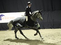 M-springen 201113_2851